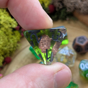 Bear Daddy | Baldur's Gate Companion Inspired Set