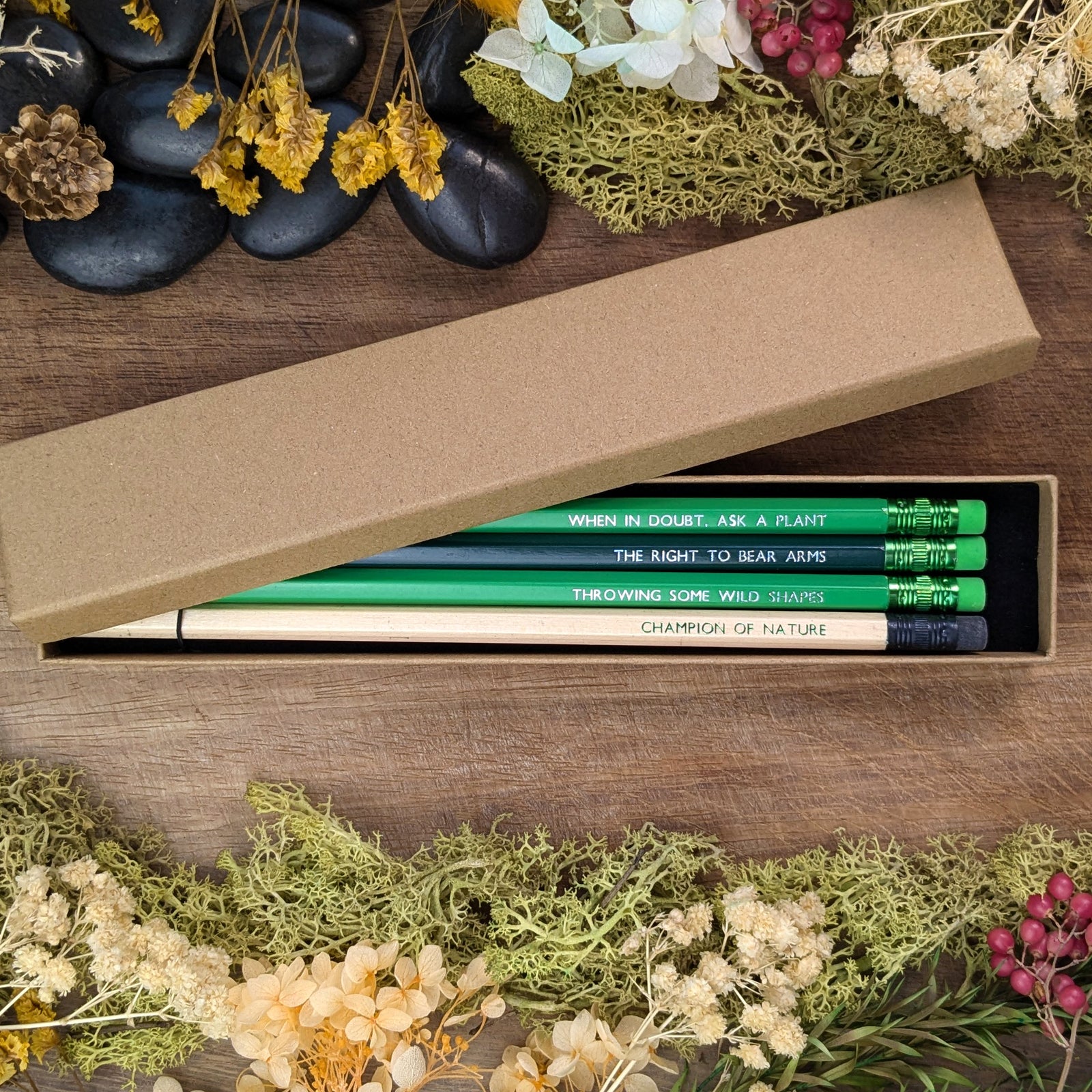 Druid Pencil Set with Box - Pen & Pencil Sets - Luffleberry